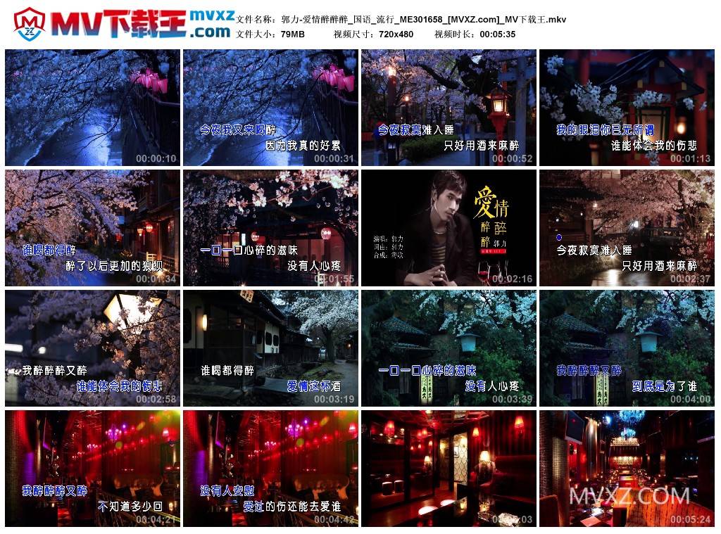 郭力-爱情醉醉醉_国语_流行_ME301658